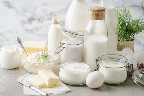 Dairy Food Service